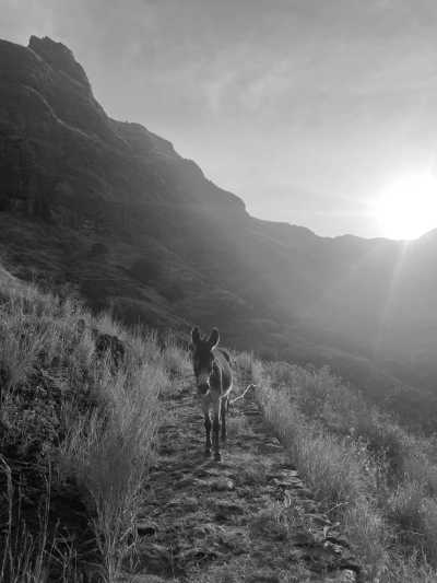 Welt - Figueiras - Inselüberquerung Santo Antao (Kapverden) - 6