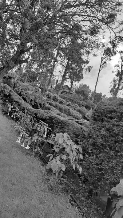 India - Kodaikanal - Ancient South India: Experience the Exotic Ancient Temples and Enticing Hills of Tamilnadu - 17