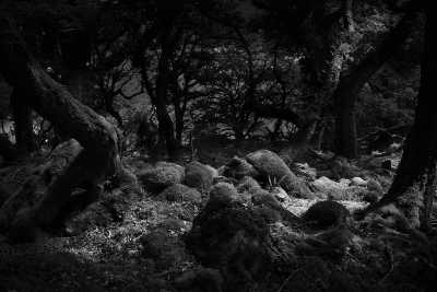 Irland - Priest’s Leap - Fotoreise und Foto-Workshop - Entdecke Irland! 📷🇮🇪