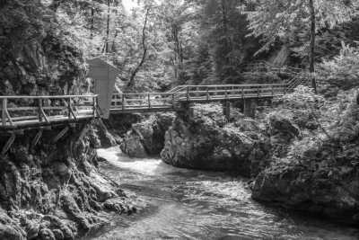 Slovenia - Lake Bled - Savoring Slovenia: A Slow Travel Journey into Untouched Beauty - 3