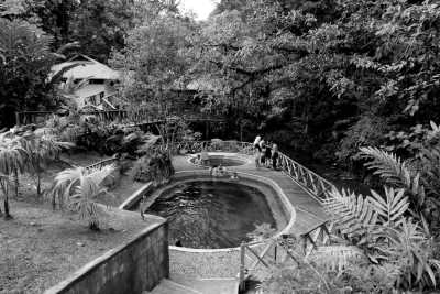 Colombia - Cabaña los Termales - Whale Watching in Nuquí - Colombia: An Adventure to Remember - 1