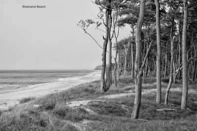 Germany - Weststrand - Baltic Shores (Germany): White wild beaches, dramatic cliffs, lonely lighthouses & Disney castles - 1