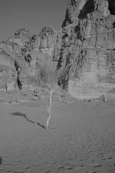 Jordanien - Wadi Rum Desert - Wonderful Jordan - Exclusive Private Trip - 4