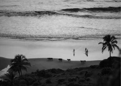 India - Goa - Relaxing Beach & Adventure | Beach Holiday Goa - 2