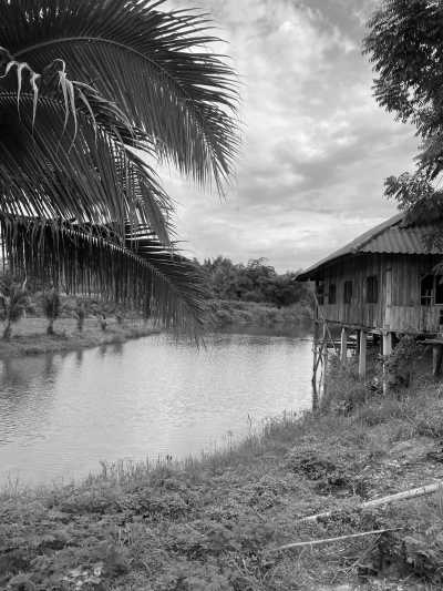 Thailand - Pai - Adventure trip to the most beautiful parts of Northern Thailand - I will show you the underrated north side of this nature paradise 🗺🚣🏽🦋🌞🐛🚞🌻🪨🌳🌺🌄 - 8