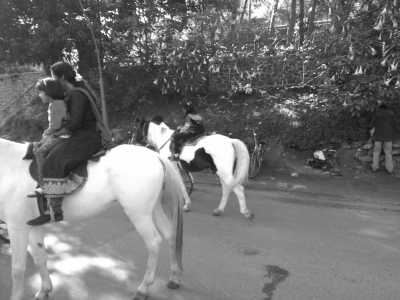 India - Kodaikanal Hill Station - Ancient South India: Experience the Exotic Ancient Temples and Enticing Hills of Tamilnadu - 17