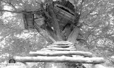 Sri Lanka - Nuwara Eliya - Rainforest & Wildlife Adventure, and a Trip to Remember - Sri Lanka - 22