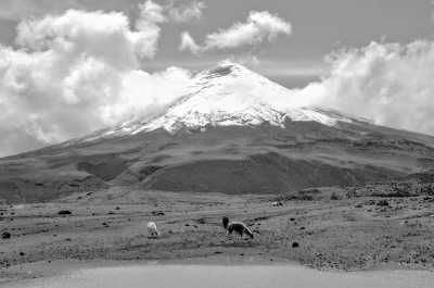 Ecuador - Cotopaxi - Enjoy Quito, Ecuador: Cable Cars with Stunning Views, Horseback Ride Around Volcanoes, Swim in Hot Springs,Taste Ecuadorian Chocolate & MORE! - 1