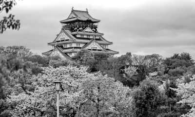 Japan - Osaka - 🇯🇵 Japan: Climb Mt Fuji 🏔️, Mario Kart in Tokyo 🏎️, Meet a Geisha, Universal studios, Temples, Numerous cities 🥳 - 1