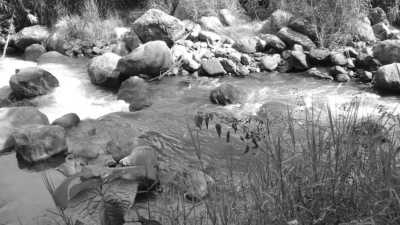 Kolumbien - San Francisco - Experience Glamping, Hiking, Horse Riding, and Cultural Delights: Discover San Francisco-Cundinamarca and Bogotá, Colombia - 8