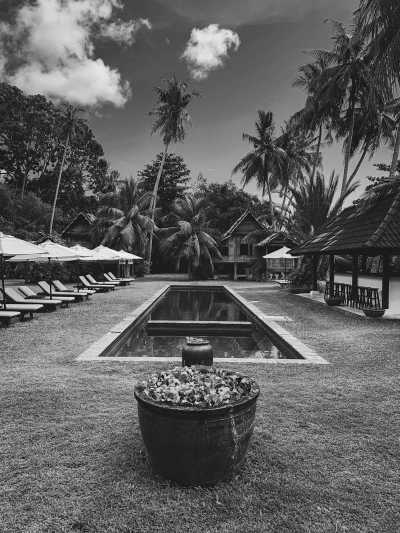 Malaysia - Kedah - Celebrate the Authentic Soul of Malaysia: Dive into the Heart of Kampung Style Living! 🌿🏡 - 3