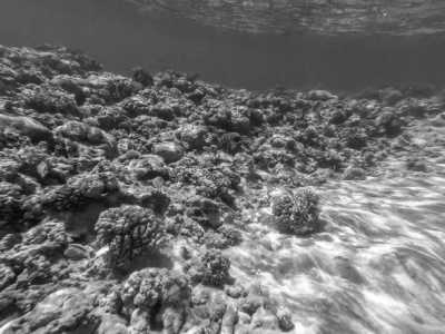 Egypt - Dahab - Discover the Hidden Gems of Dahab, South Sinai, Egypt - 2