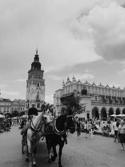 Poland - Kraków - Have Fun As Befits Kings in Two Royal Polish Cities! - 4