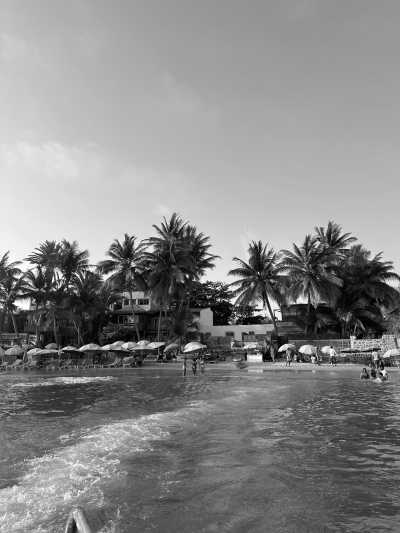 Senegal - Dakar - Senegal's Summer in Winter: Explore The Culture and Excitement in West Africa - 3