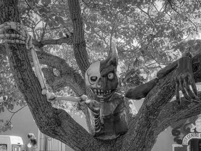 Mexiko - Oaxaca - SOUTH MEXICO WONDERS, DAY OF THE DEAD EDITION - 28