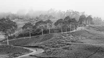 Indonesia - Batukaras - Java Island Motorbike Touring: 11-Days Road Trip Through Beaches and Mountains in Indonesia - 1