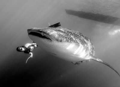 Mexico - Cancún - Nature Retreat in Mexico, Playa del Carmen 🇲🇽 Cleansing Ritual, Detox, Culture, Food and more! 🌴 - 1