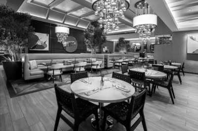 United States - The Las Vegas Strip - ⭐️🇺🇸 The American Dream: Explore the West Coast during New Year 🇺🇸⭐️ - 5