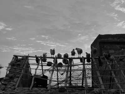 Welt - Monte Trigo - Inselüberquerung Santo Antao (Kapverden) - 5