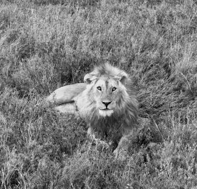 Southern Africa - Etosha National Park - Epic Overland Journey: From Namibe, Namibia to Cape Town, South Africa - 2