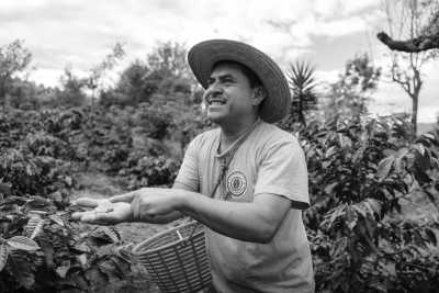 Guatemala - Antigua Guatemala - Guatemala All-Inclusive Adventure: Turquoise Jungle Springs, Volcano Hike, Coffee Tour, and Lake Villa Amidst Stunning Volcanic Scenery - 1