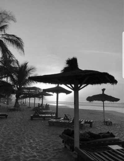 Gambia, The - Kotu - Feel The Gambia 🇬🇲 The smiling coast of Africa - Roundtrip - 6