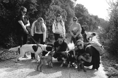 Croatia - Split - Paws and Adventure 🐾🌊 Volunteer with Dogs 🐶 Explore Split, Croatia 🌅 - 1