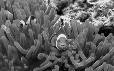 Australien - Cairns - Australien - Roadtrip Melbourne bis Cairns