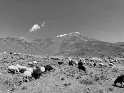 Turkey - Ararat - Ararat-Besteigung (5.165m) in Ostanatolien - 10. - 19. Juni 2022 - 2