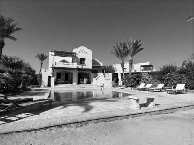 Ägypten - Egypt/Red Sea: Coworking, Diving, Kitesurfing... and Pharaohs History! - JoinMyTrip