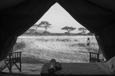 Tansania - Serengeti National Park - Tanzania Safari - Single Private room (1pax) - 6