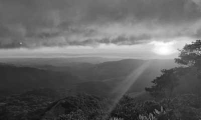 Costa Rica - Monteverde Cloud Forest Biological Preserve - Majestic Adventures in Costa Rica: Beaches, Volcanoes, Hot Springs, Cloud Forest, and Pura Vida Lifestyle! - 3