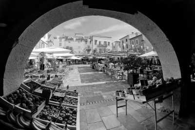 India - Mandrem - Explore Goa and Dive in the paradise of India! - 2