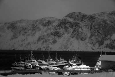 Norway - Rebbenesøya - Northern Lights and Arctic Wonders: Winter Expedition in Norway - 3