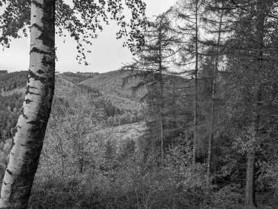 Deutschland - Bad Harzburg - Wanderzeit im Harz mit Brocken-Tour, Deutschland - 3