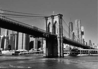 United States - Brooklyn - 2-Weeks Cultural CoWorking Trip to New York, USA - Girls Only!