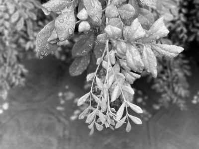 Benin - Parakou - Discover the jewel of west Africa, Benin Republic