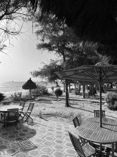 Senegal - Toubab Dialao - Senegal's Summer in Winter: Explore The Culture and Excitement in West Africa - 8