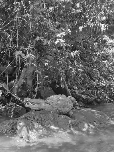 Mexiko - Tuxtla Gutiérrez - Day of the Dead Roadtrip in Mexico - 3