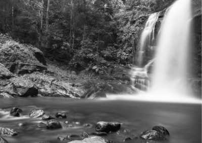 Tansania - Udzungwa Mountains - Discover the Magic of Tanzania: Mikumi, Udzungwa Mountain and Ruaha National Parks