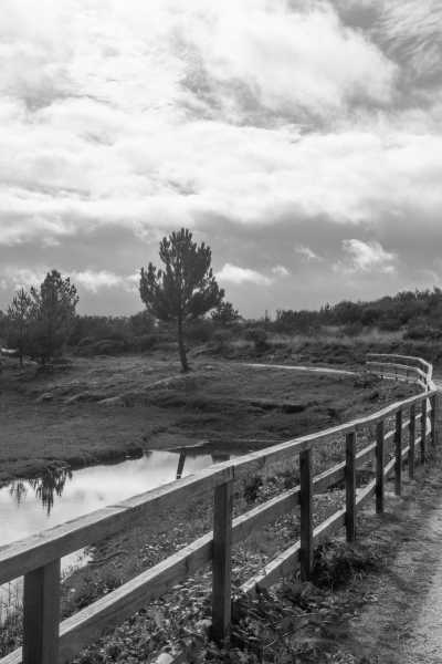 Portugal - Ribeira de Pena - Explore the hidden wonders of the north of Portugal with a local - 13