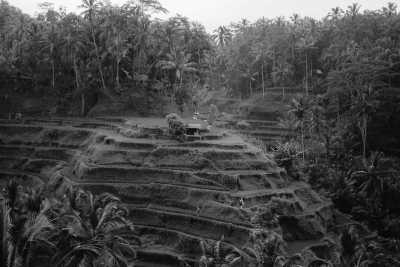 South-eastern Asia - Bali - Malaysia, Singapore, and Indonesia: A  2-Week Adventure - 4