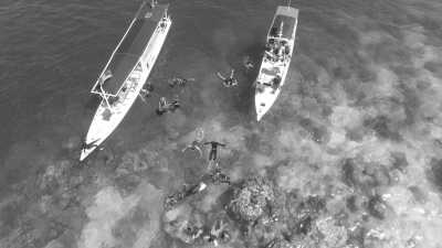 Indonesien - Karimun Jawa island - Explore Java Island Indonesia, Snorkeling, Hiking, Temple, Food, Culture - 3