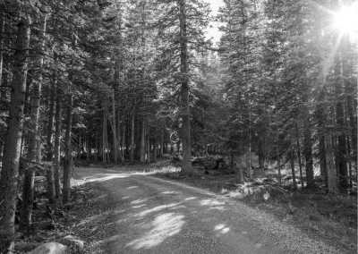 Pakistan - Manshi Top - Serenity of Sharan Forest: Discover Pakistan's Hidden Gem for a Tranquil Escape