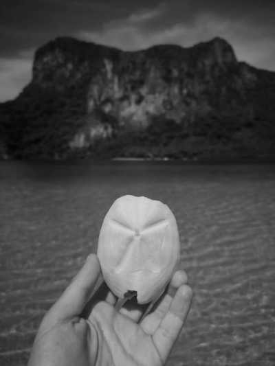 Philippines - El Nido - El Nido: Beaches, Island Hopping, Snorkeling, Surfing & UNESCO sites | All in the Philippines - 2