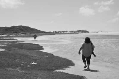 South Africa - Tsitsikamma Village Inn - Südafrika: das Kap, der Wein, die große und kleine Karoo, Gardenroute, garantierte Durchführung