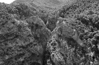 Greece - Psathas Beach - Pure Greece Madness Athen, Mykonos and more! 🇬🇷🏛🥂 - 4