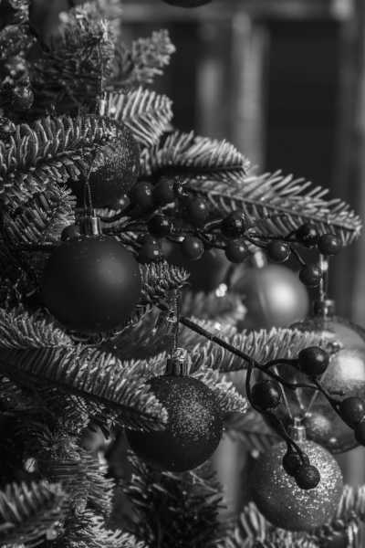 United States - Medford - A Magical Christmas Season in Philadelphia: Lights, Hayrides, Villages, Gingerbread Houses, Cinnamon Ornaments, & MORE!