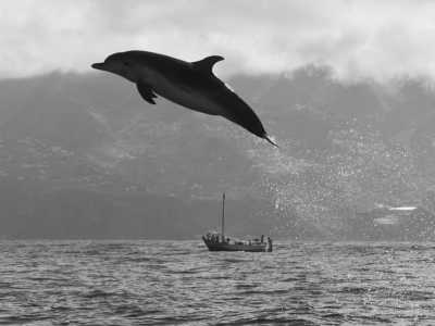 Portugal - Funchal - Madeira  SPECIAL ADVENTURE - off the beaten path with a local Adventurer: João_lets_hike! - 3