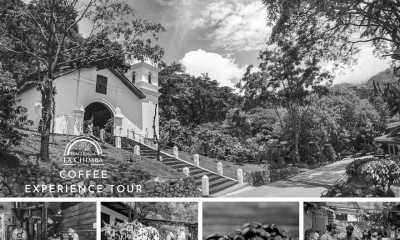 Costa Rica - Punta Leona - Majestic Adventures in Costa Rica: Beaches, Volcanoes, Hot Springs, Cloud Forest, and Pura Vida Lifestyle! - 16